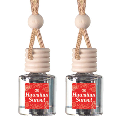 CANDECraftCo 2 Pack Hanging Car Air Freshener Diffuser for Essential Oils
