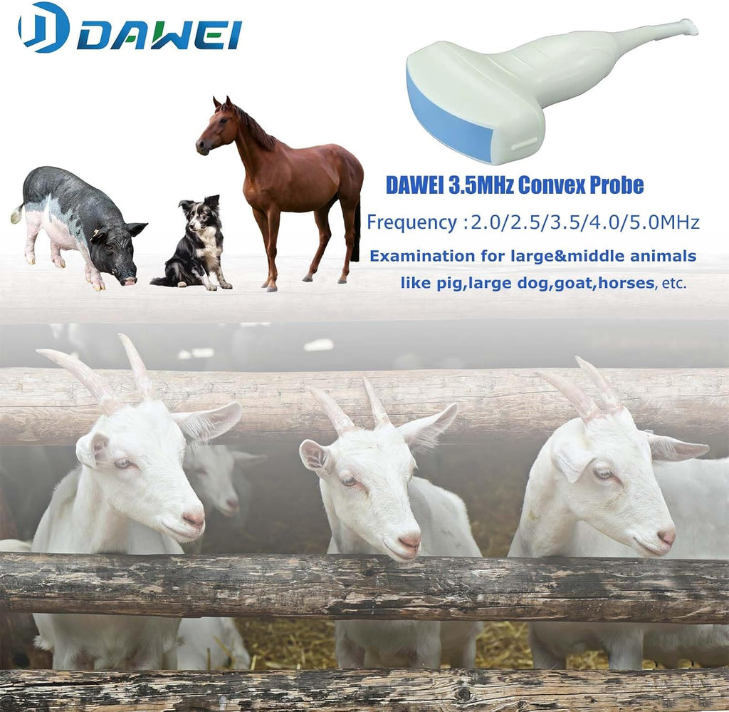 Veterinary Ultrasound Scanner Laptop Ultrasound Machine with 3.5Mhz Convex Probe for Animals Dog,Goat,Pig,Sheep use