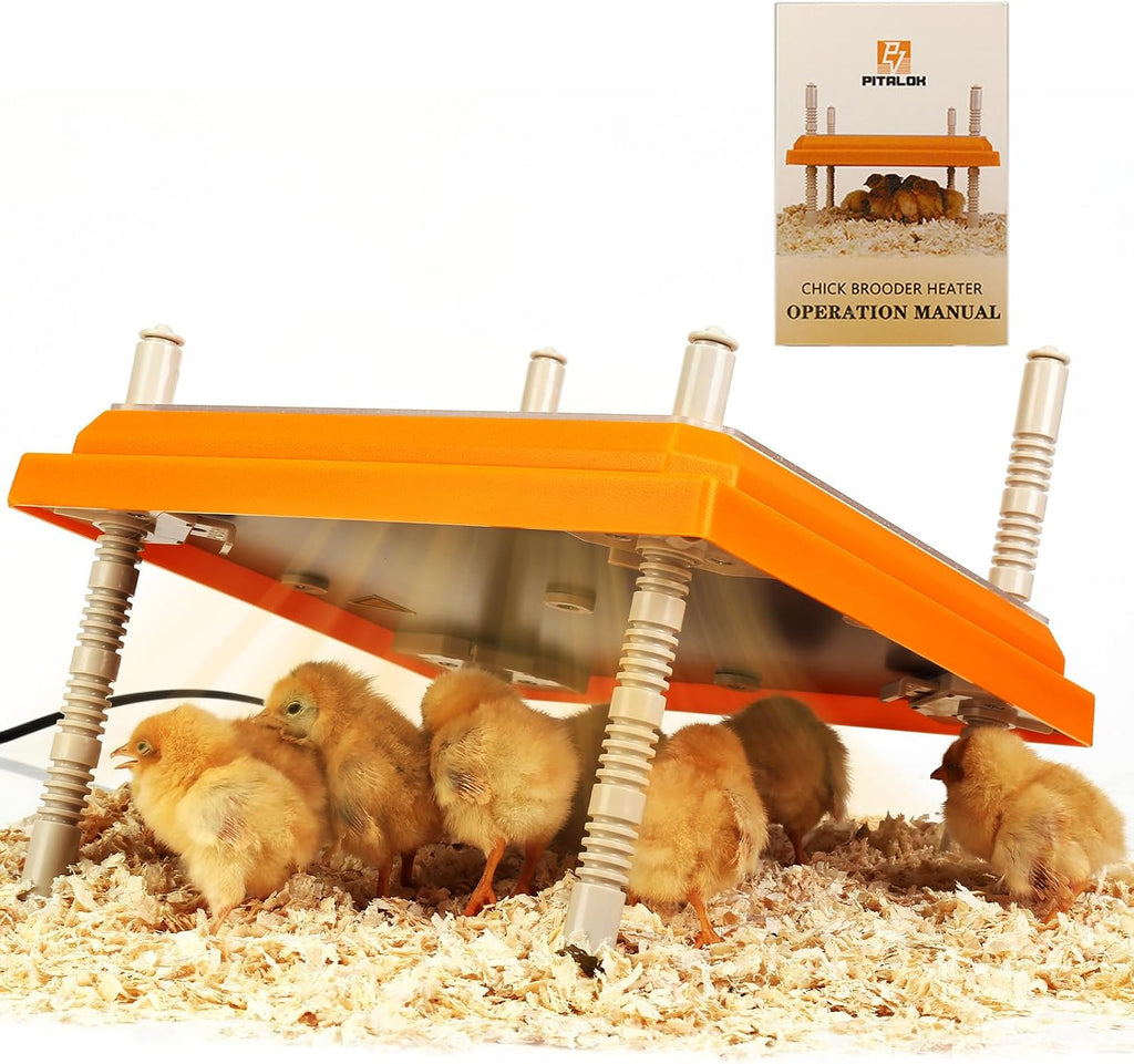 Brooder Heater for Chicks Height Adjustable: Heating Plate with Easy- Cleaning Plate Poultry Coop Warmer 10" x 10"