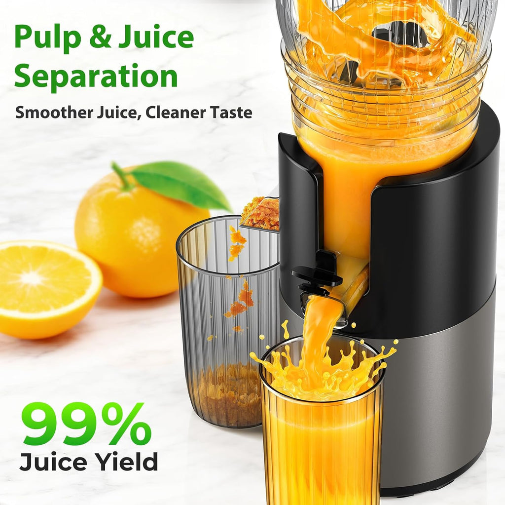 Juicer Machines, 6" Large Feed Chute Cold Press Juicer