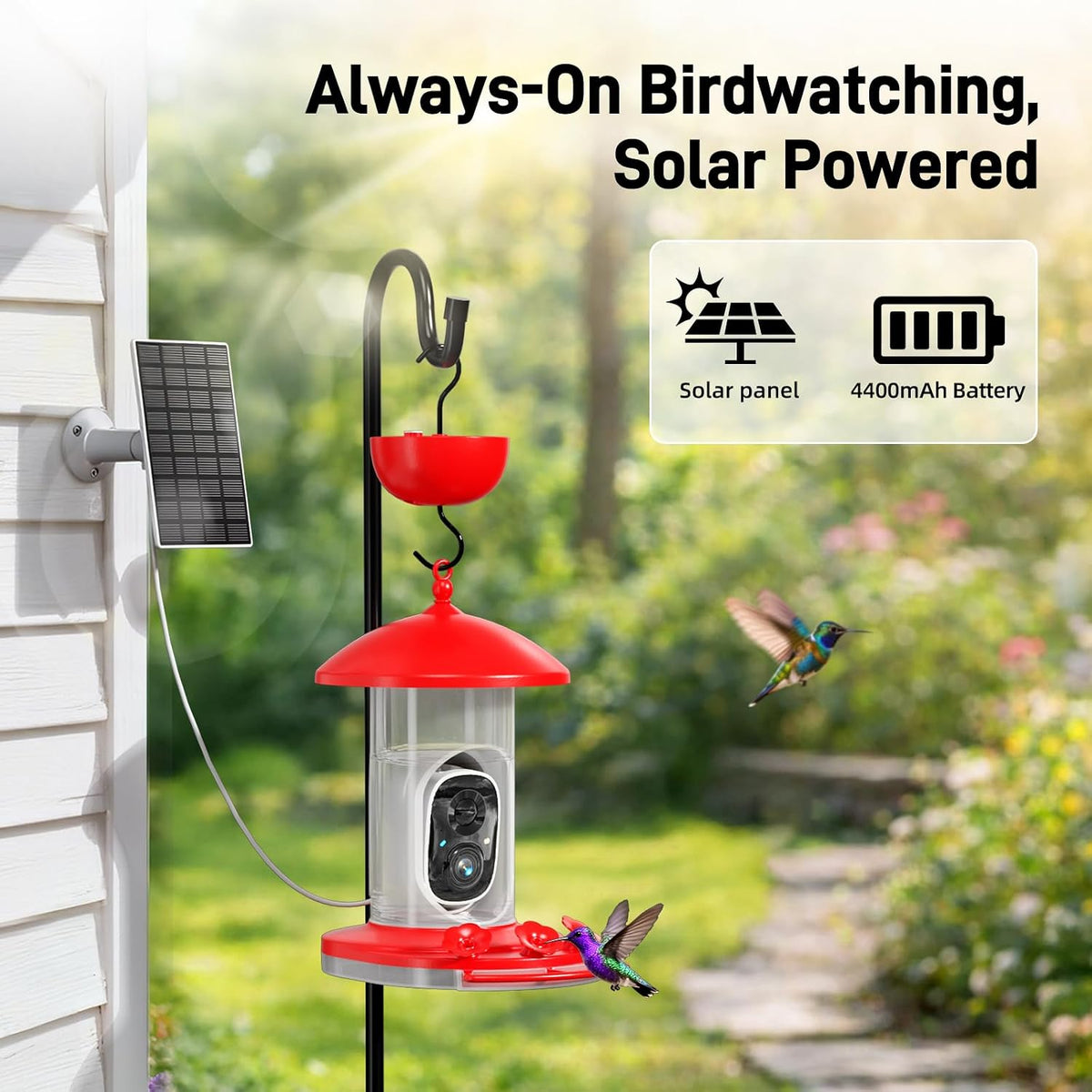 Hummingbird Feeder with Camera Outdoor, 5MP HD Smart Hummingbird Feeder Camera Solar Powered, AI Bird Identification