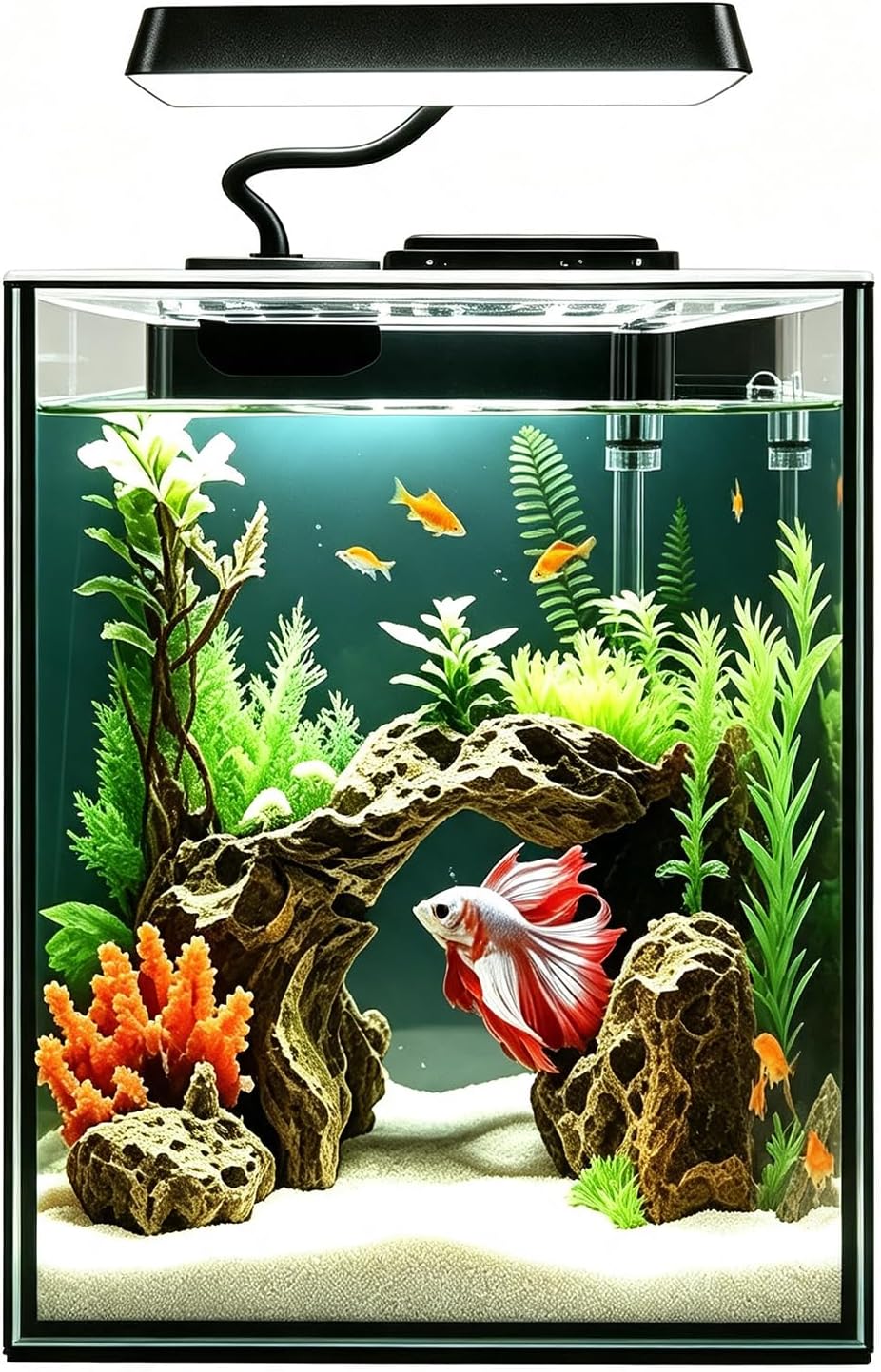 Glass Betta Aquarium Starter Kits 1.5 Gallon Small Fish Tank, Betta Fish Tank with LED Light, Power Filter, Black.