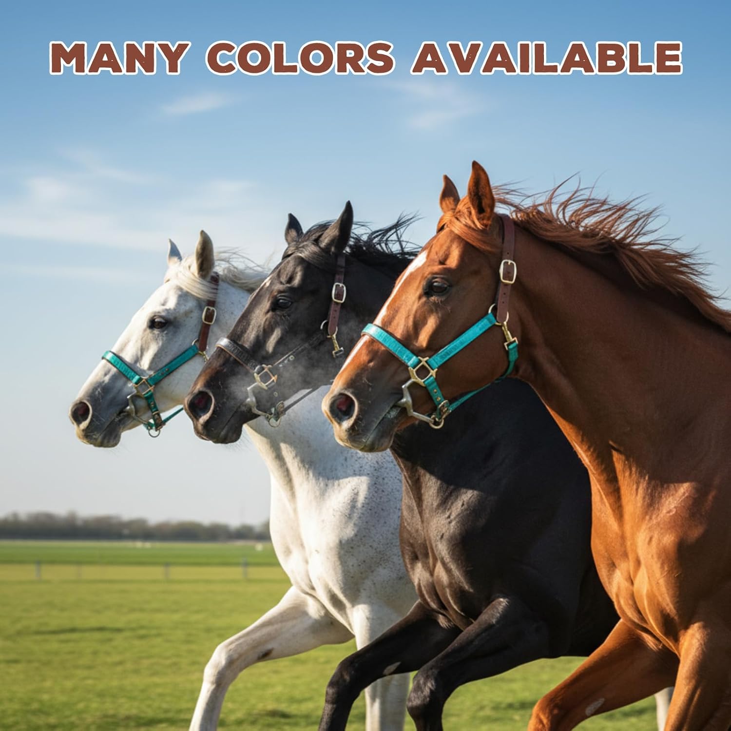 Leather Halter for Horses, Equine Breakaway Nylon Rope Horse Halter with Snap & Adjustable Chin and Throat Snap Hook