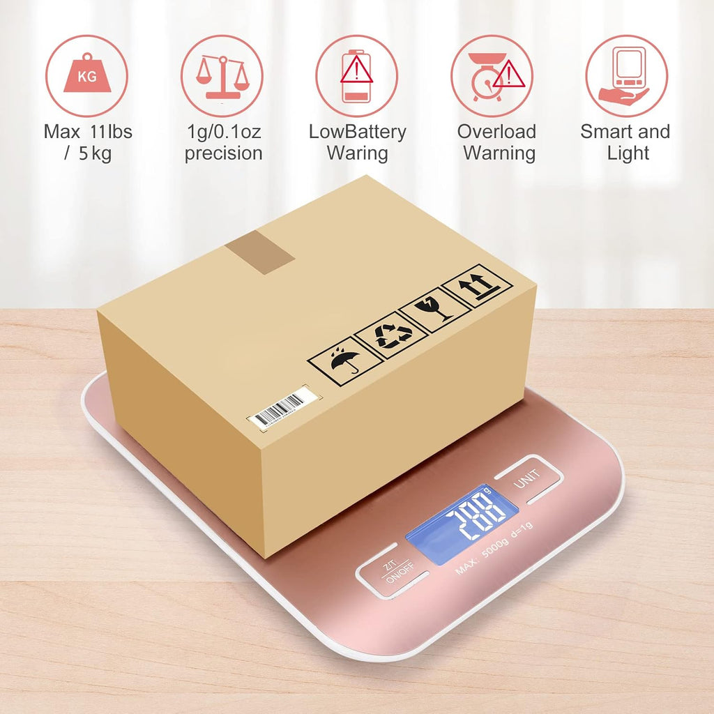 Digital Shipping Scale,Stainless Steel Panel, Accurate Portable Postal Scale for Packages, Small Business,Kitchen