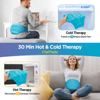 Ice Pack for Back Pain Relief, 2Pcs, Sciatica Ease Brace Reusable