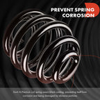 A-Premium Front Suspension Coil Spring Set Compatible with Nissan