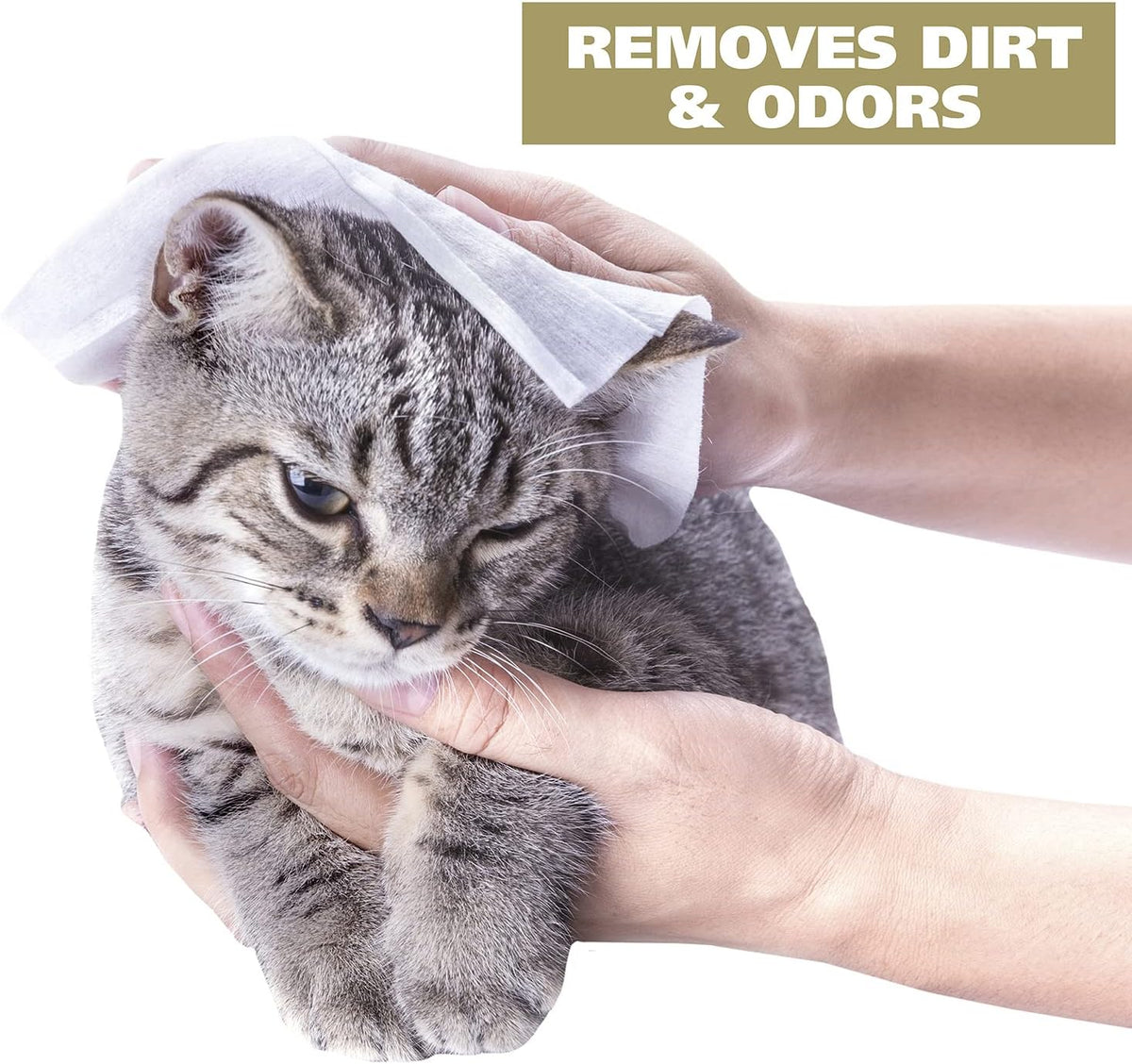 USA Cat Refresh Cleaning Wipes, Oatmeal Formula, 50 Count