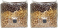 All in One Mushroom Grow Bag (2 Pack)