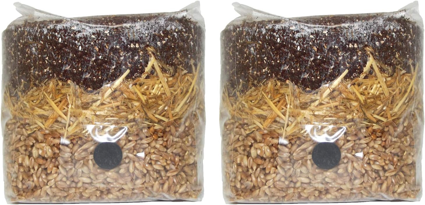 All in One Mushroom Grow Bag (2 Pack)