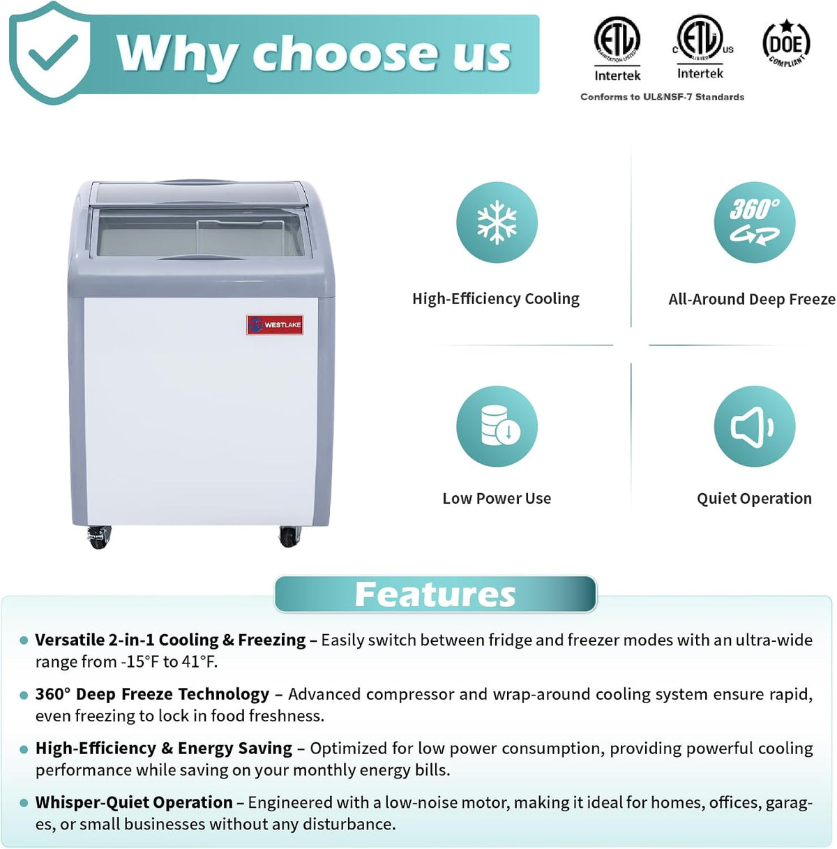 27"W Commercial Ice Cream Freezer, Display case NSF