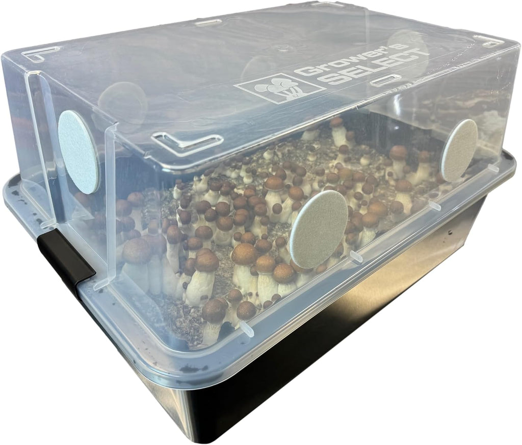 Complete Refill Kit for Large 66Q Monotub - Includes Grain Spawn & Bulk Substrate