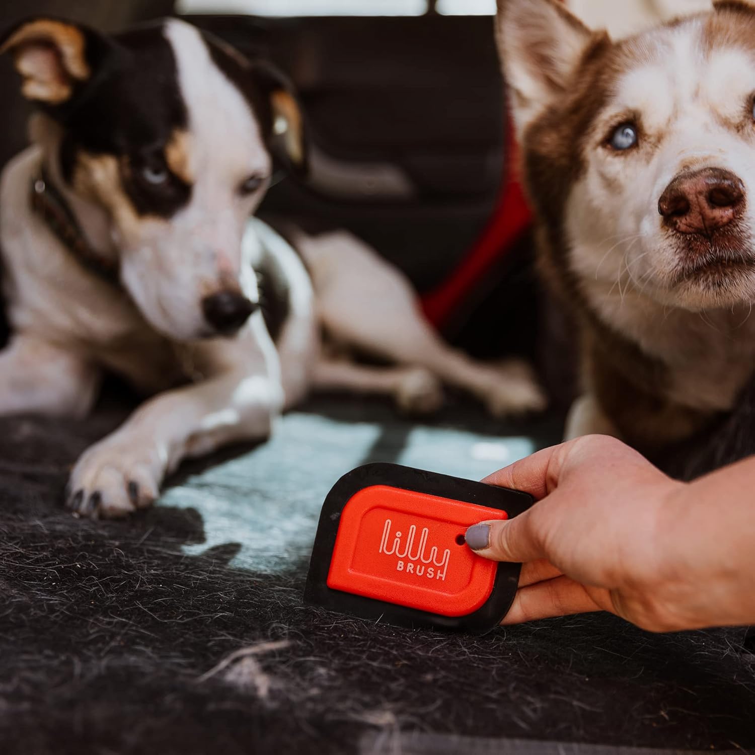 Mini Pet Hair Detailer | Reusable Fur Remover for Car Interior, Carpet, Couch & Furniture