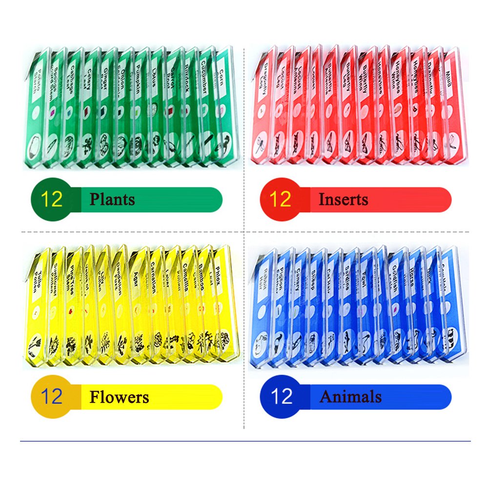 Prepared Microscope Slides, 48pcs Plastic Animals Insects Plants Flowers Sample Specimens