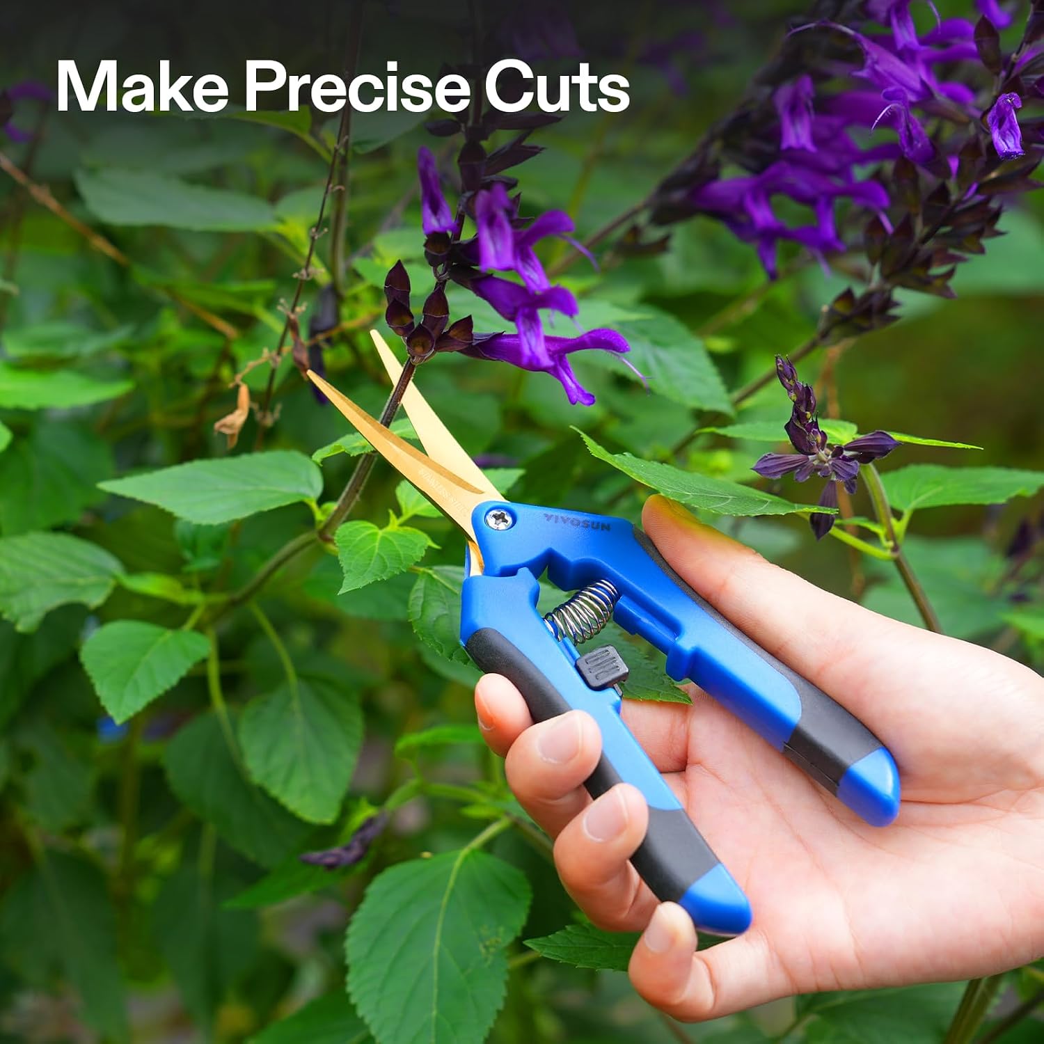 6.5 Inch Garden Scissors, Blue Pruning Shears for Plants, 2-Pack | Curved Precision Stainless Steel Blades, Comfort