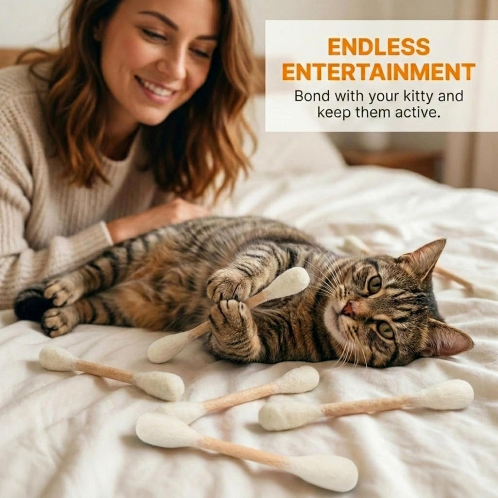 Swabs Cat Toys with Catnip - 6 Pk | Durable for Chew, Cute Cat Toys Interactive Kitty for Boredom, Exercise, & Play |