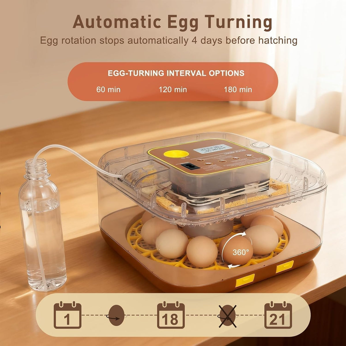 Gen IV - 12 Egg Fully Automatic Incubator, 2026 Upgraded Design, Intelligent Sensor-Based Humidity & Temp Control