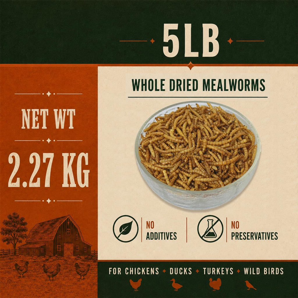 5lb Dried Mealworms - High Protein Treat for Chickens & Birds