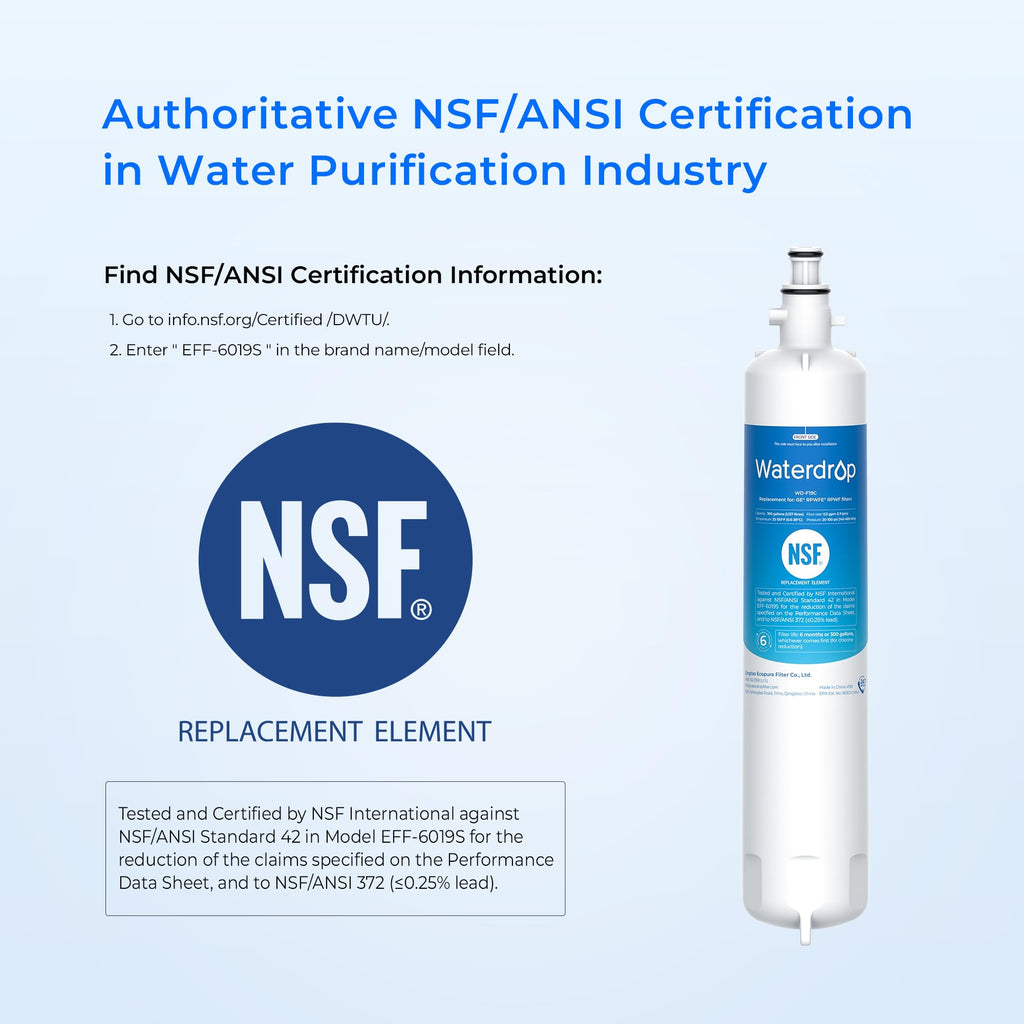 Waterdrop WD-F19C Refrigerator Water Filter Replacement for GE RPWFE