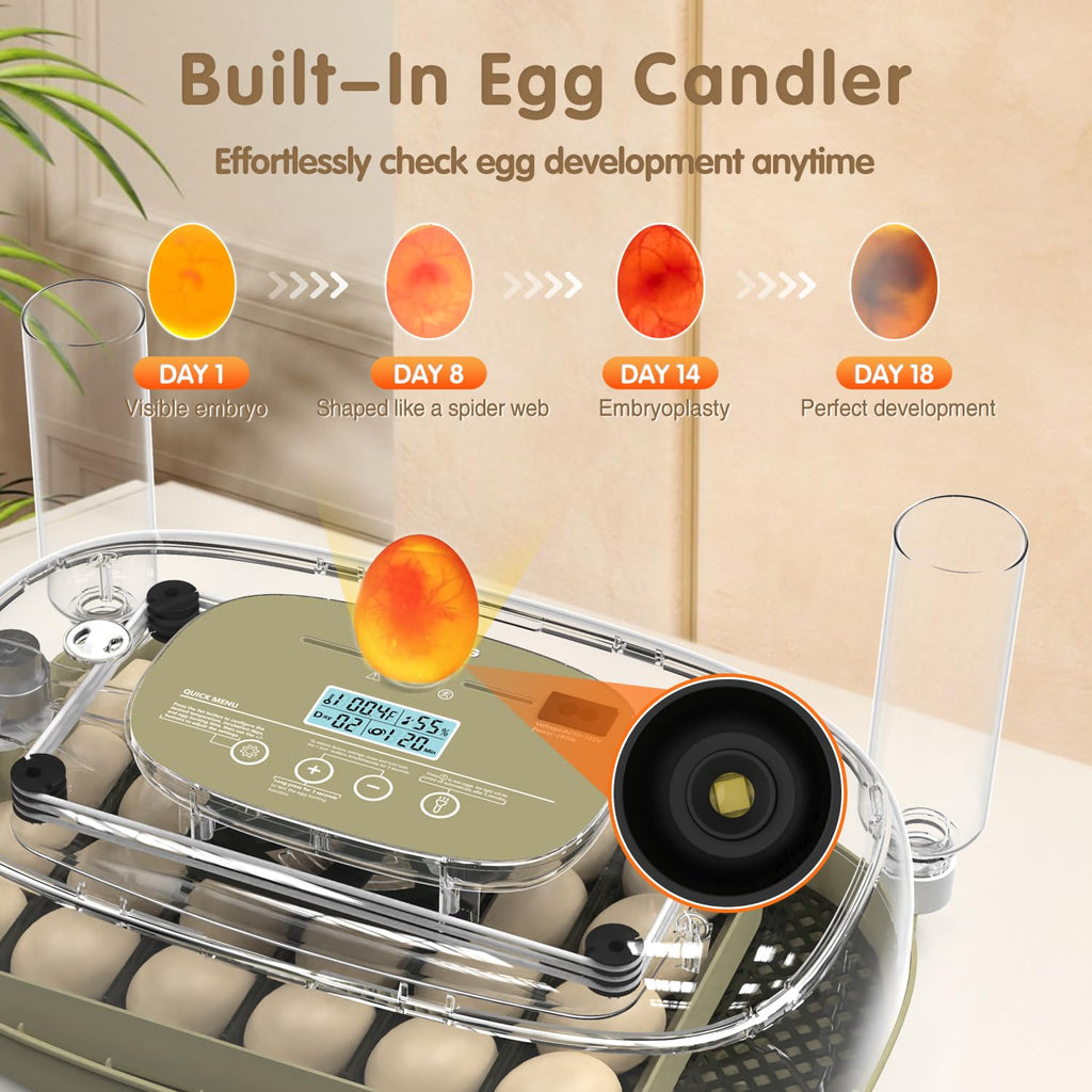 Egg Incubators Incubator for Hatching Eggs 24 Eggs Egg Incubator for Lab Home Farm with Automatic Egg Turning for