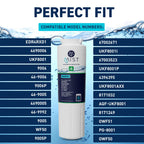 EDR4RXD1 Water Filter, NSF 42, 1 Pack