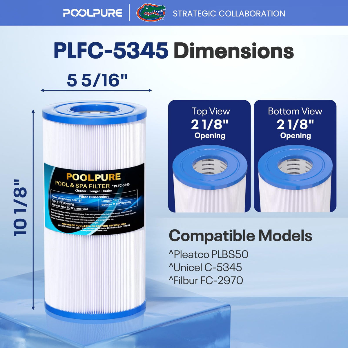C-5345 SPA Filter Replaces PLBS50 2PACK