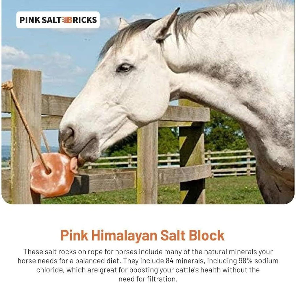 Himalayan Salt Lick for Horses & Livestock with Rope, Natural Mineral Salt Block, 3–4 lbs Each, 4 Pack for Horses