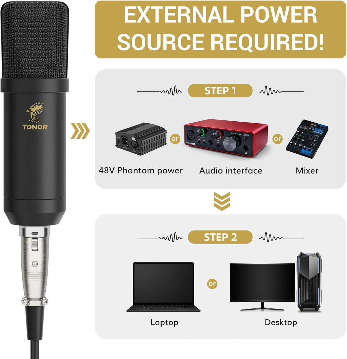 XLR Condenser Microphone, Professional Cardioid Studio Mic Kit with T20 Boom Arm, Shock Mount, Pop Filter for