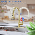 Brushed Gold Kitchen Faucets with Pull Down Sprayer