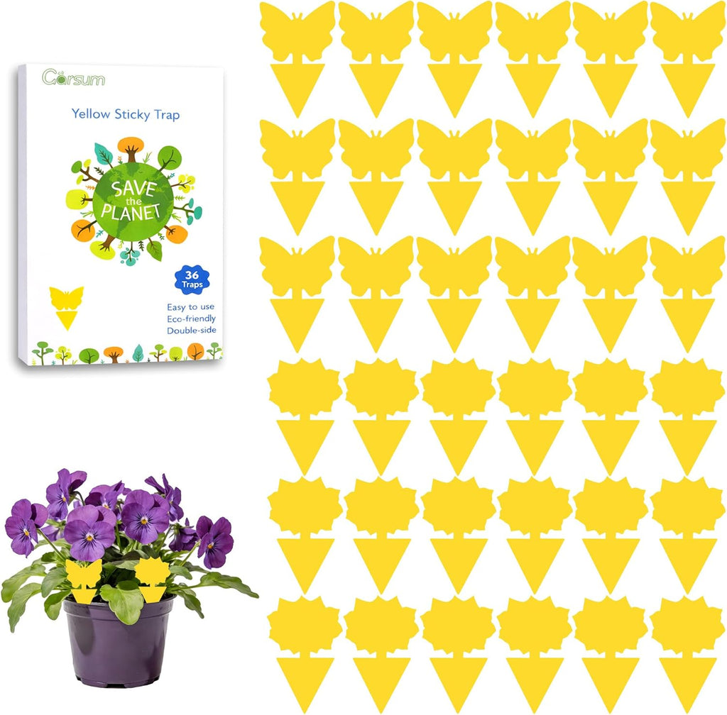 Fruit Fly Sticky Trap for Indoor and Outdoor, 36 Pack Fungus Gnat Killer for Houseplant,Mosquitos, Flying Insect