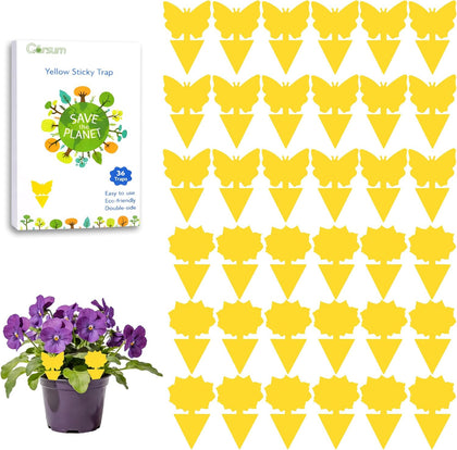 Fruit Fly Sticky Trap for Indoor and Outdoor, 36 Pack Fungus Gnat Killer for Houseplant,Mosquitos, Flying Insect