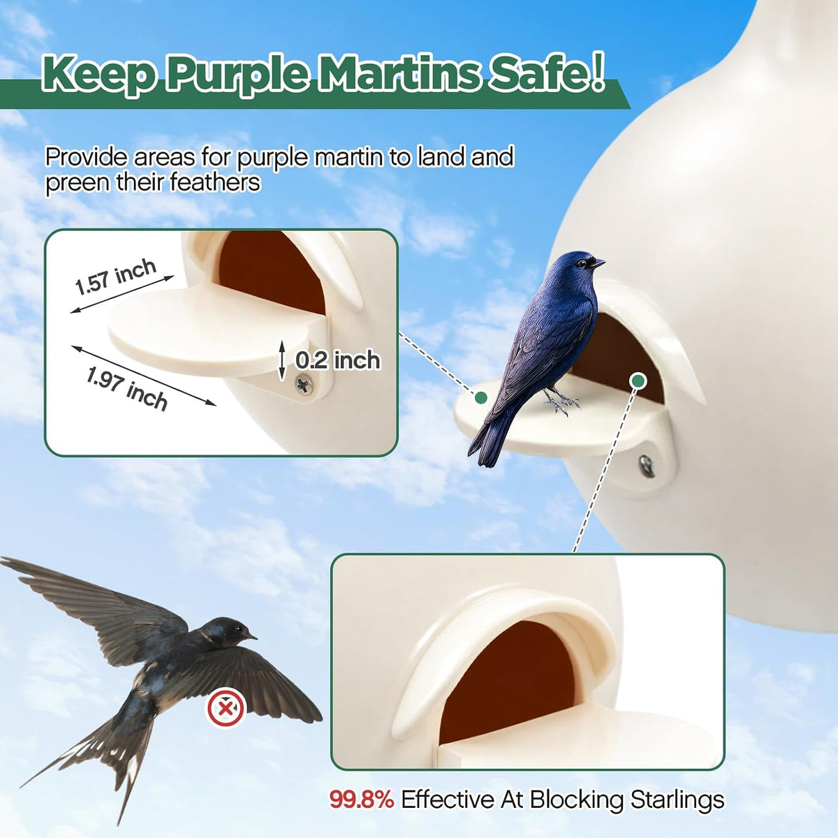 16 Pack Purple Martin Gourds,Martin House Gourds