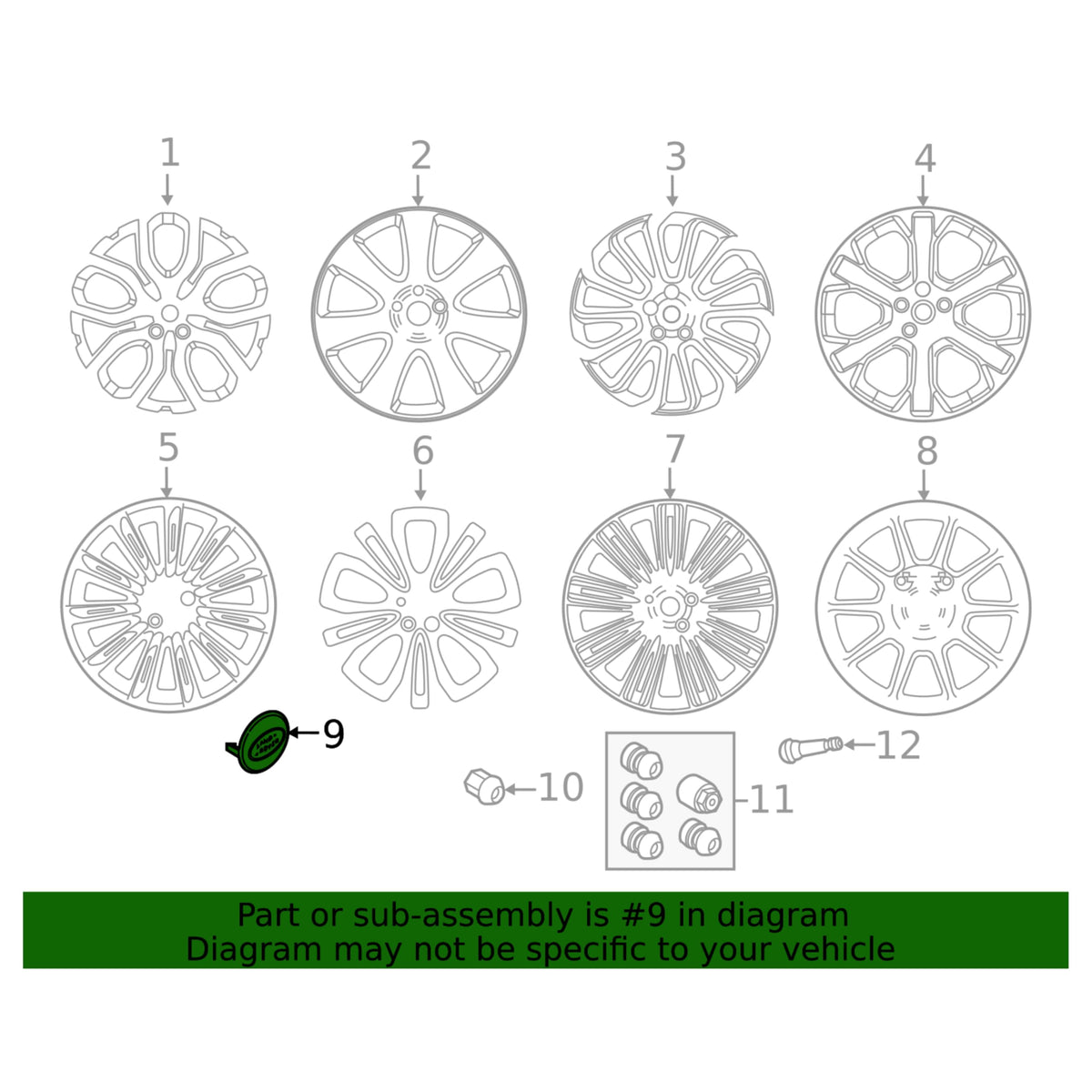 LR069899 Wheel Center Cap (1)