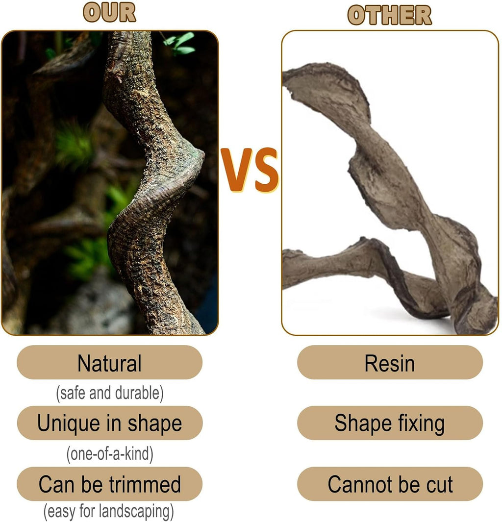 Reptile Decor 3PCS Natural Forest Branch Terrarium Habitat Decoration Lizard Climbing Tree Branch for Bearded Dragon
