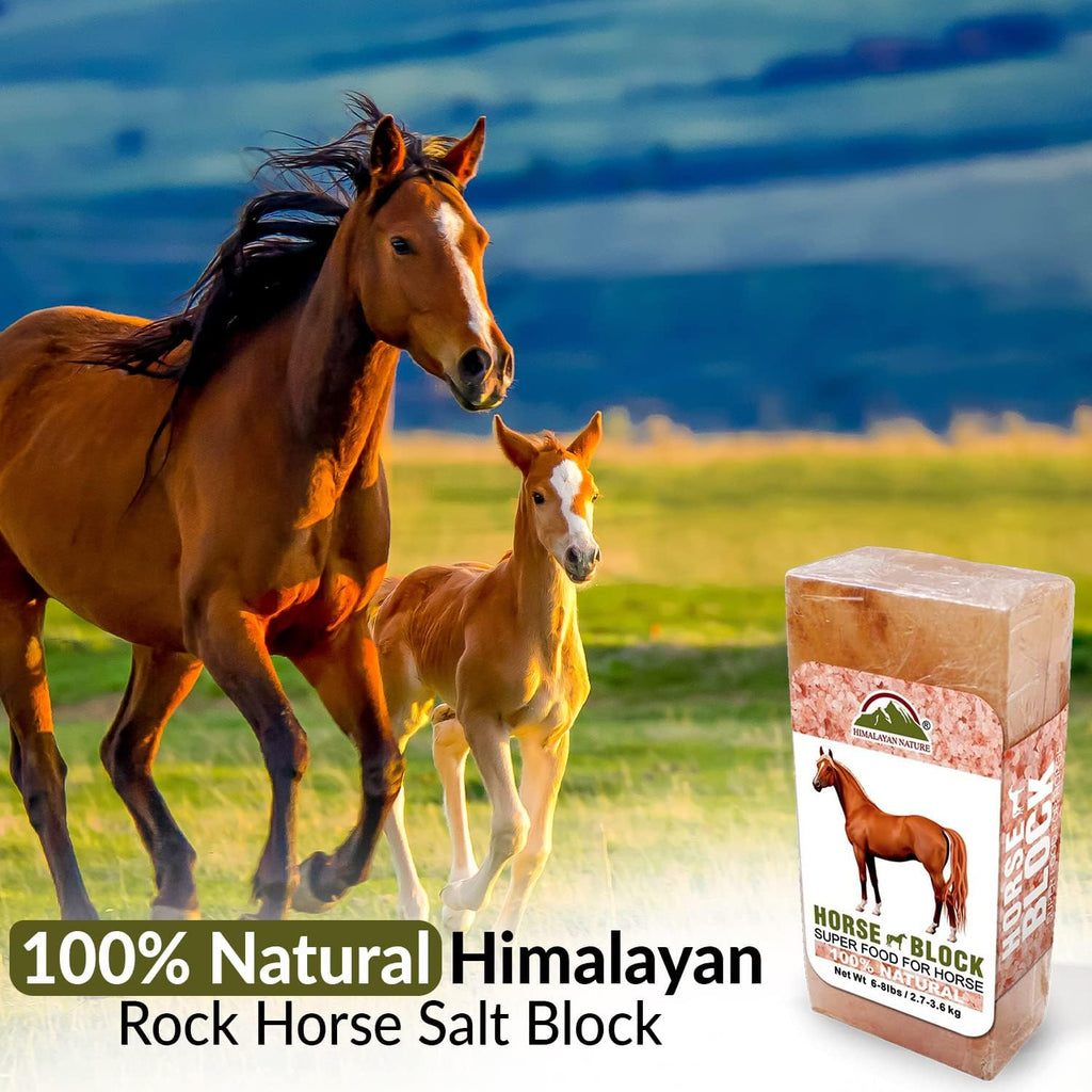 Licking Salt for Horse, 100% Pure Himalayan Pink Salt Chunks, 6 LBS, Animal Feed Salt Chunks, Horse Salt Licks