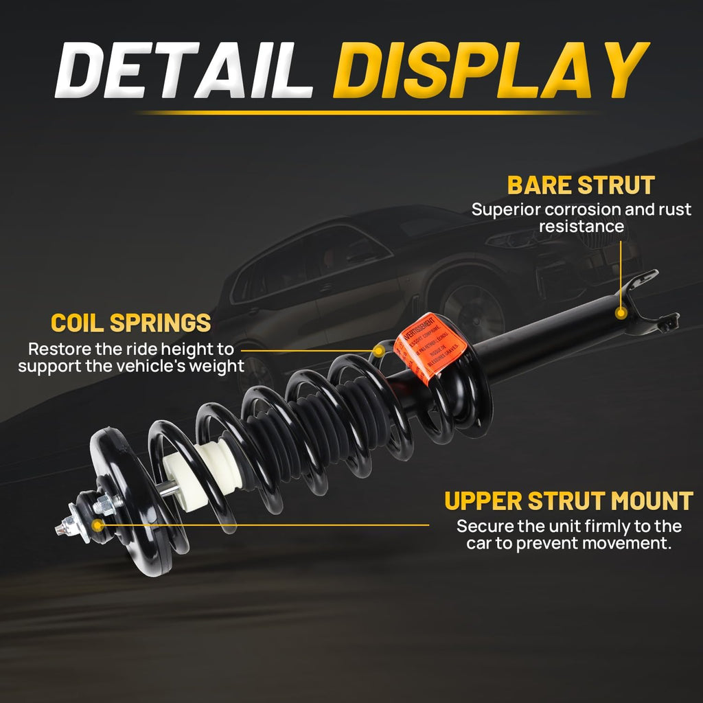 Rear Strut Shock Assembly w/Coil Spring Fit for Honda Accord