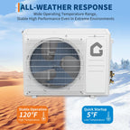 SEER 22 12000BTU 115V Mini Split Air Conditioner with WiFi