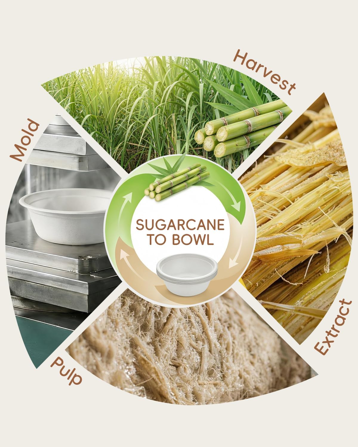500 Pack White 12 oz Compostable Sugarcane Deep Bowls