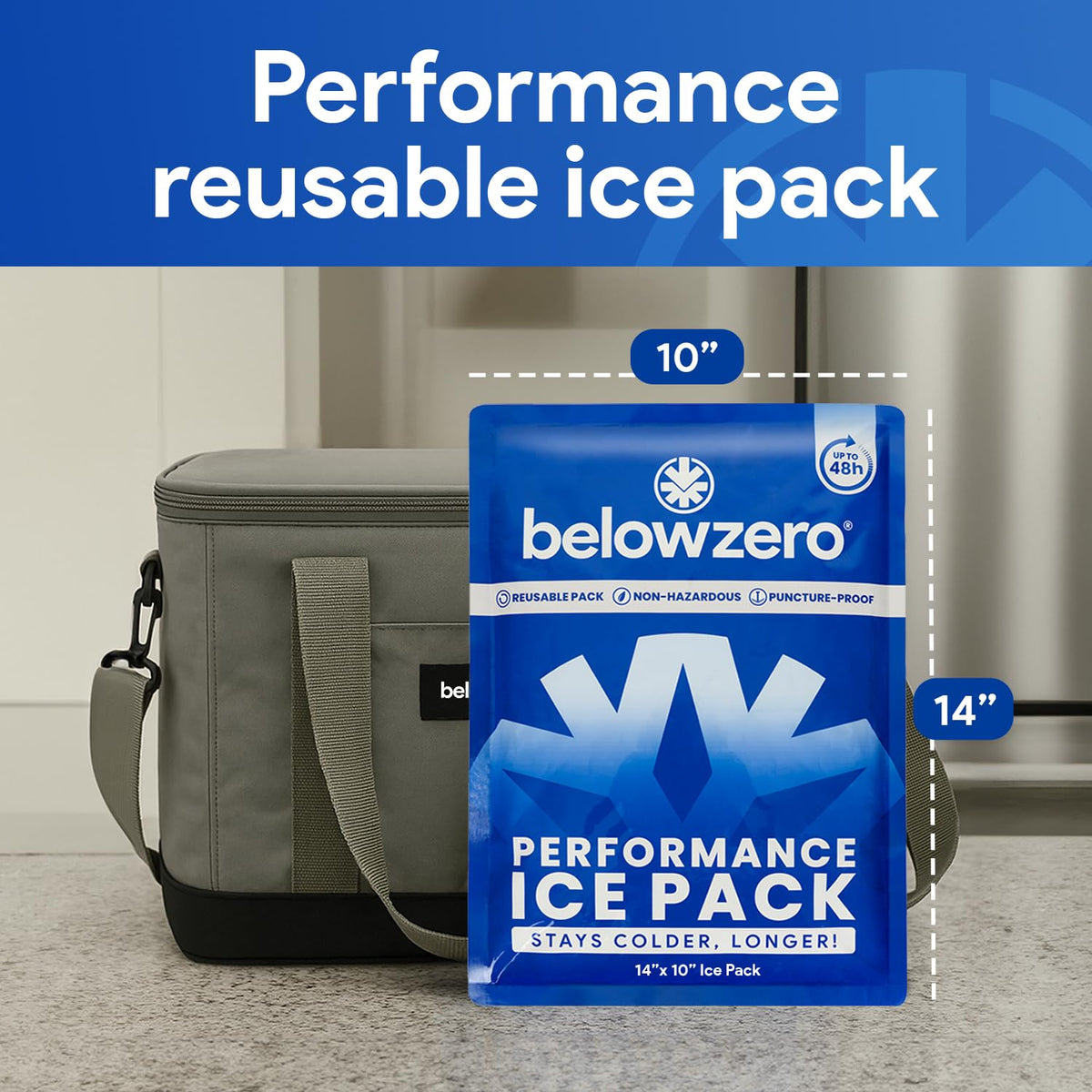 Prefilled Reusable 48-Hour Ice Packs, Large 14"x10", 2 Pack