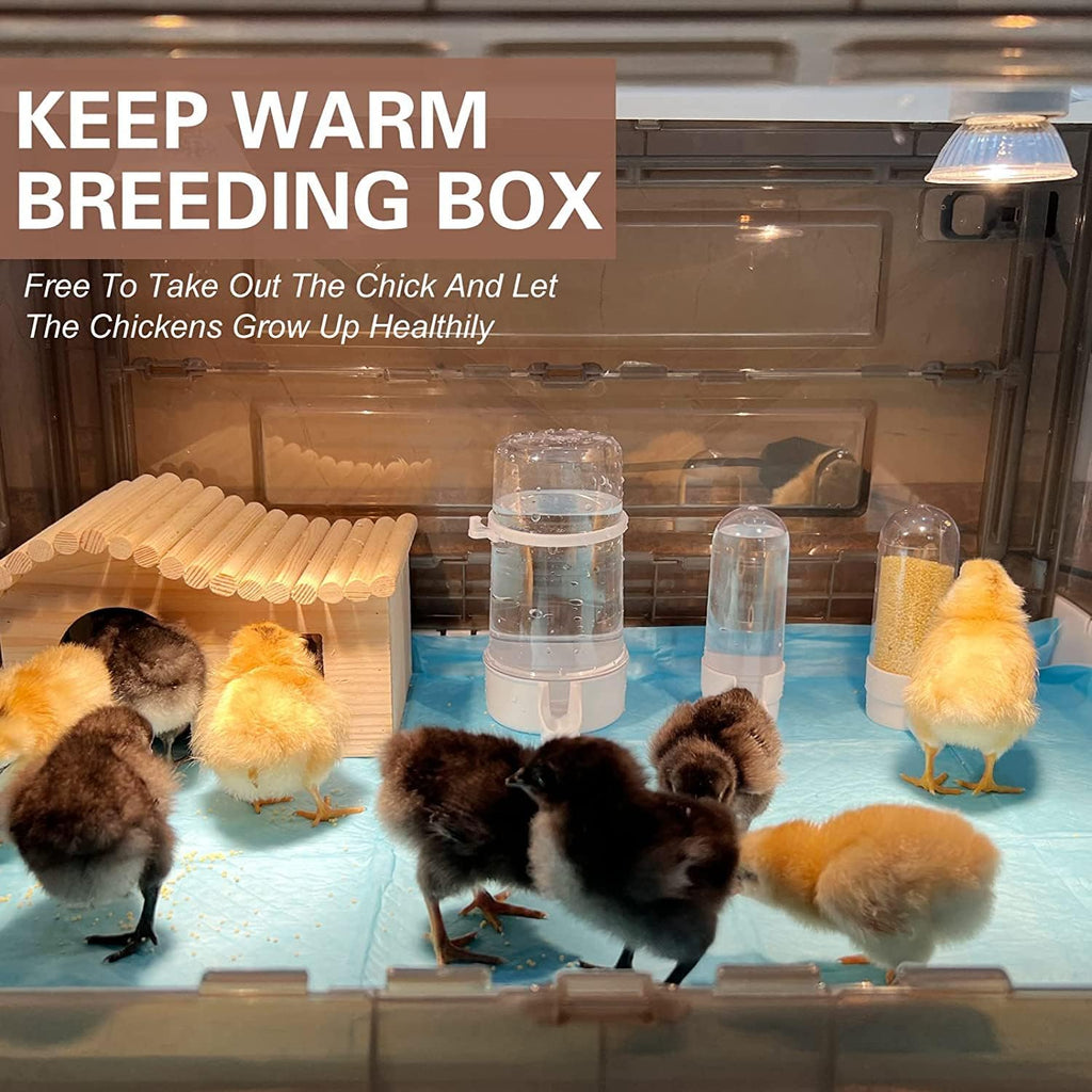 Chick Brooder,Brooder Box for Chicks,Brooder Heater Warms up to 15 Chicks (20″x14″x12″)