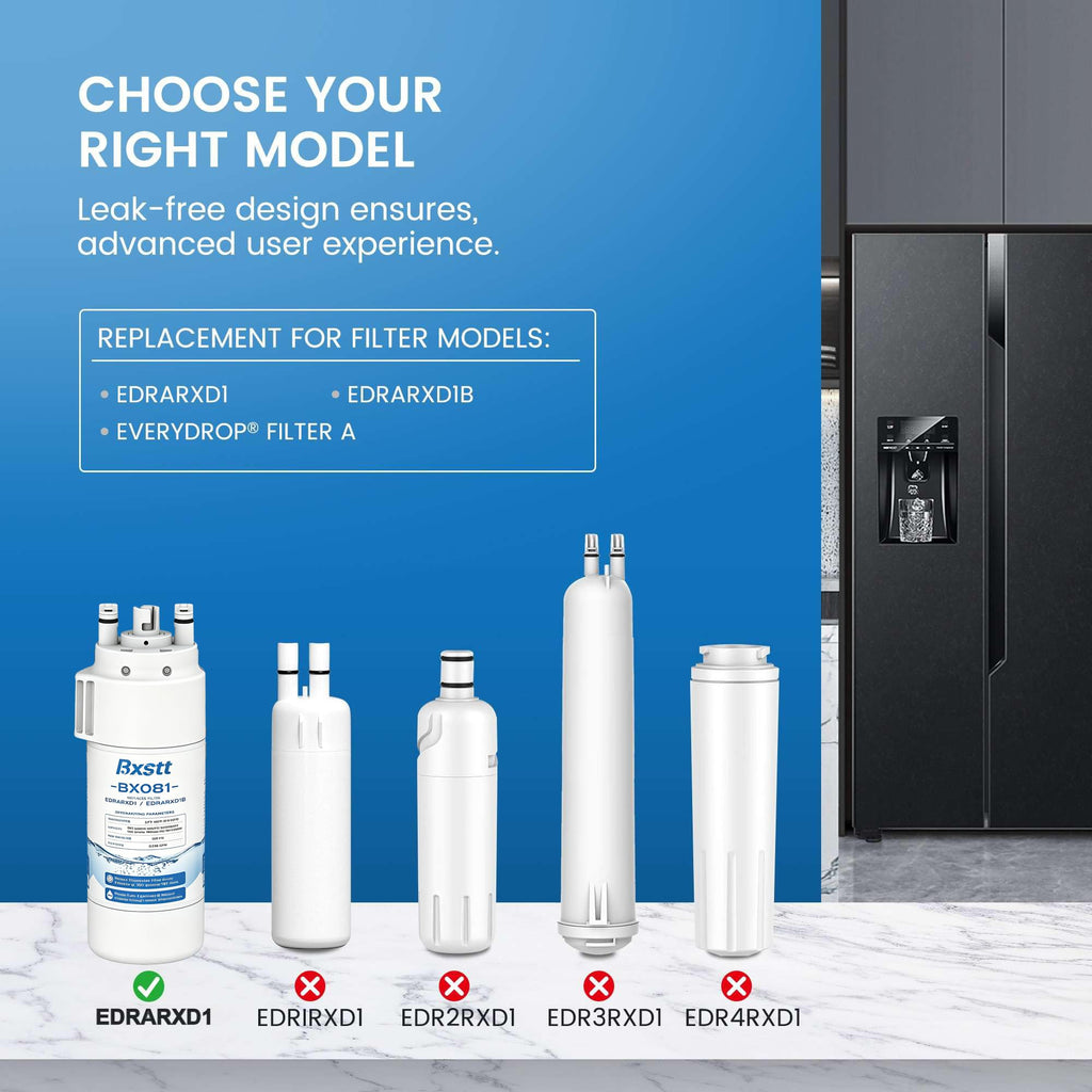 EDRARXD1 Water Filter Replacement for Everydrop A 2-Pack