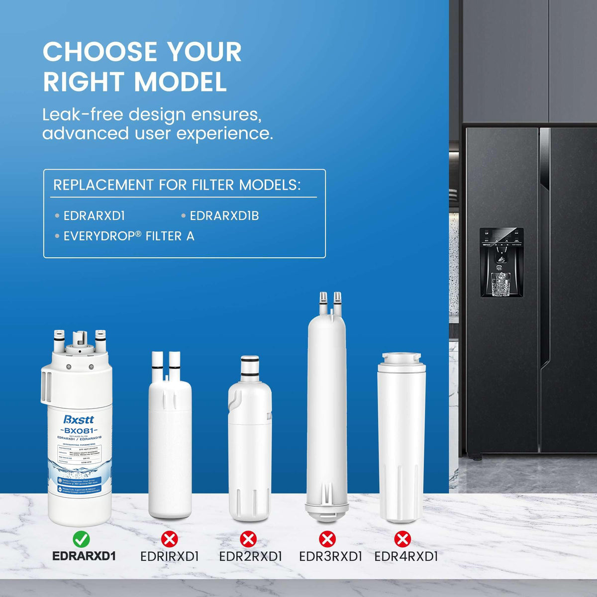 EDRARXD1 Water Filter Replacement for Everydrop A 2 Packs