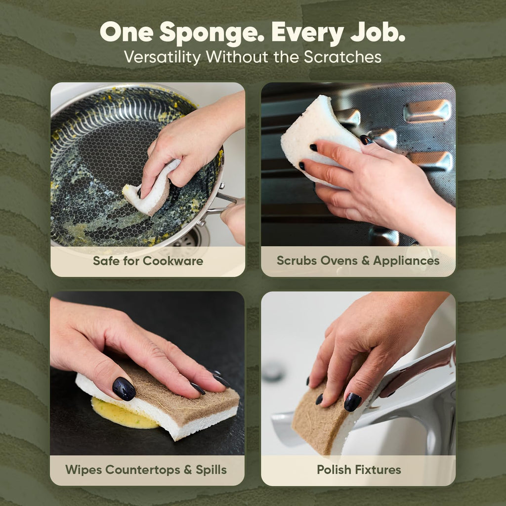 Plant-Based Kitchen Sponges (12 Pack) | USDA Biobased Certified | FSC & PETA Approved | Natural Cellulose & Coconut