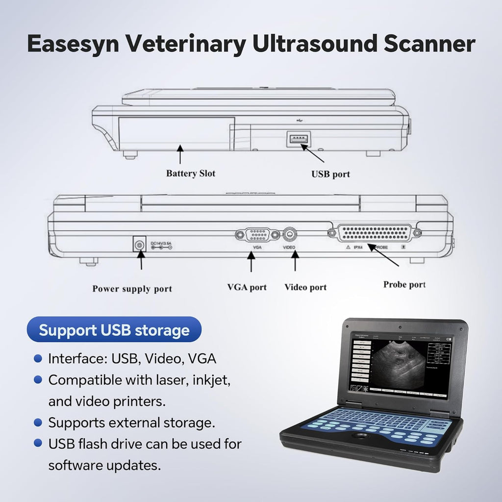 Portable Vet Ultrasound Scanner Convex & Rectal Linear Probe