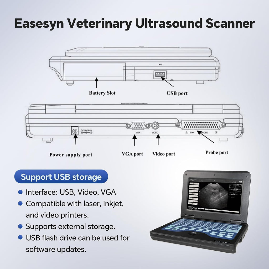 Portable Veterinary Ultrasound Scanner Micro Convex Probe