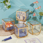 10 Sets Transparent Favor Boxes, 4.8x4.8x4.8 Inch Treat Gift Boxes with Gold Border Lace and Handle for Candy