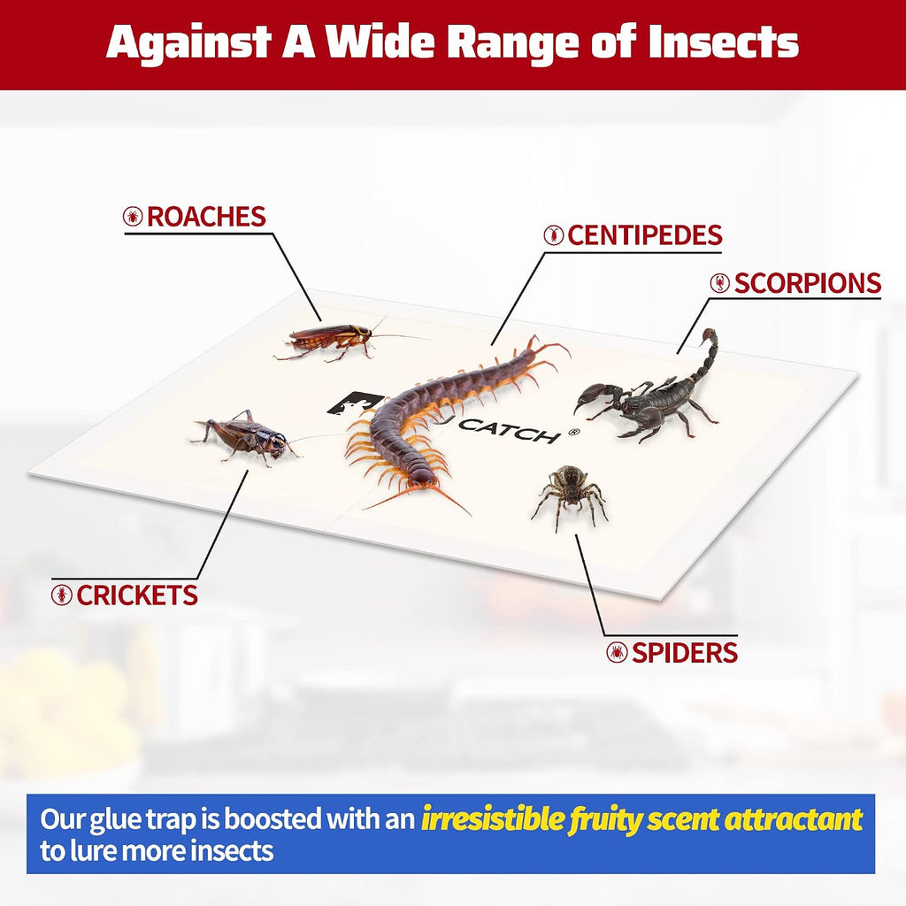 Cricket Insect Glue Traps - 6 Pack Bug Cockroach Sticky Traps, Large Spider Trap with Pre-Baited Attractant, Highly