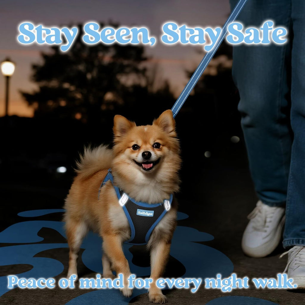 Dog Harness Small Sized and Leash Set, Step-in Breathable Pet Harness, Soft Walking Reflective Puppy Vest for Small