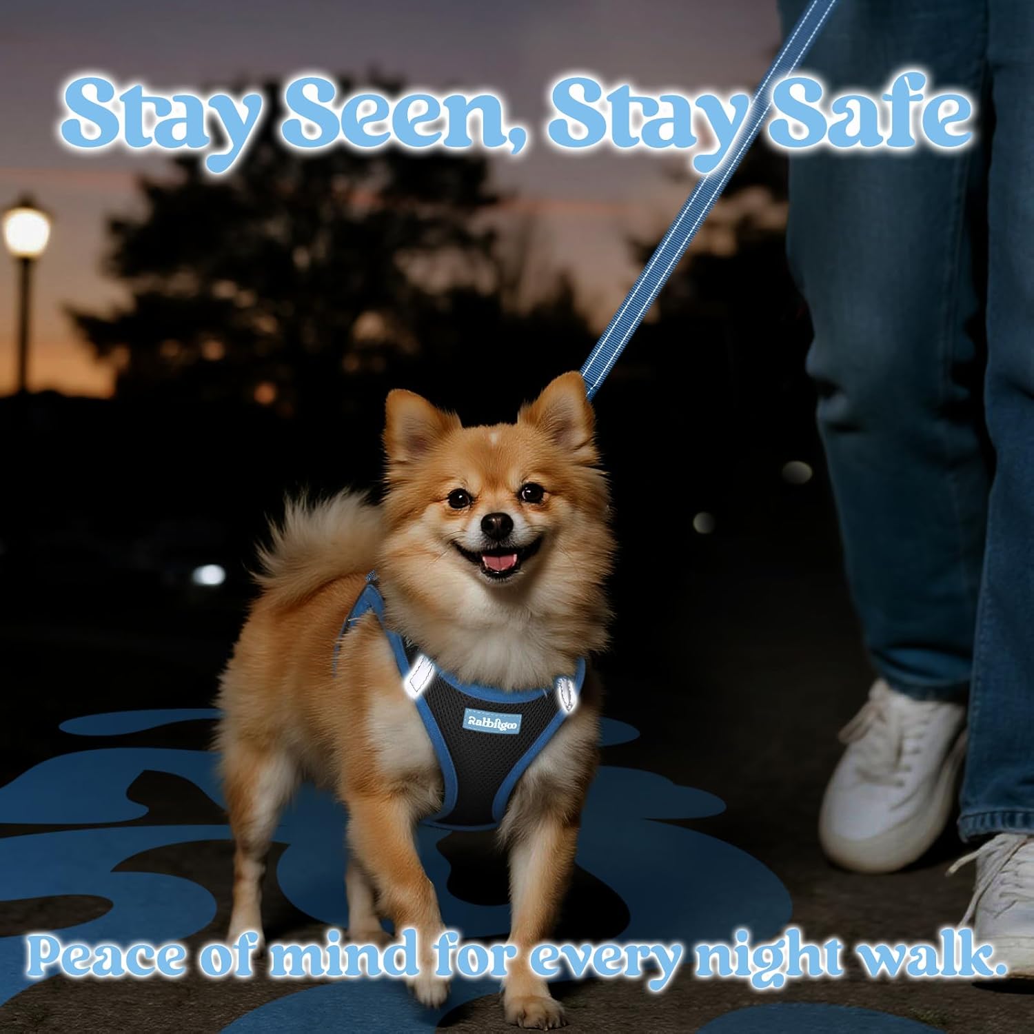 Dog Harness Small Sized and Leash Set, Step-in Breathable Pet Harness, Soft Walking Reflective Puppy Vest for Small