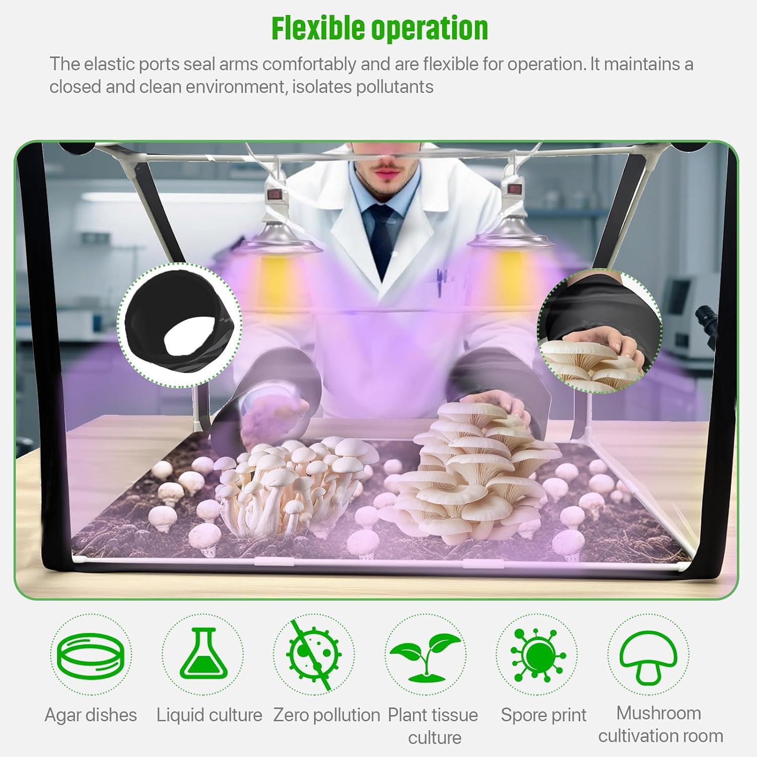 Large Still Air Box Mushroom Grow Set Mycology Propagation Box