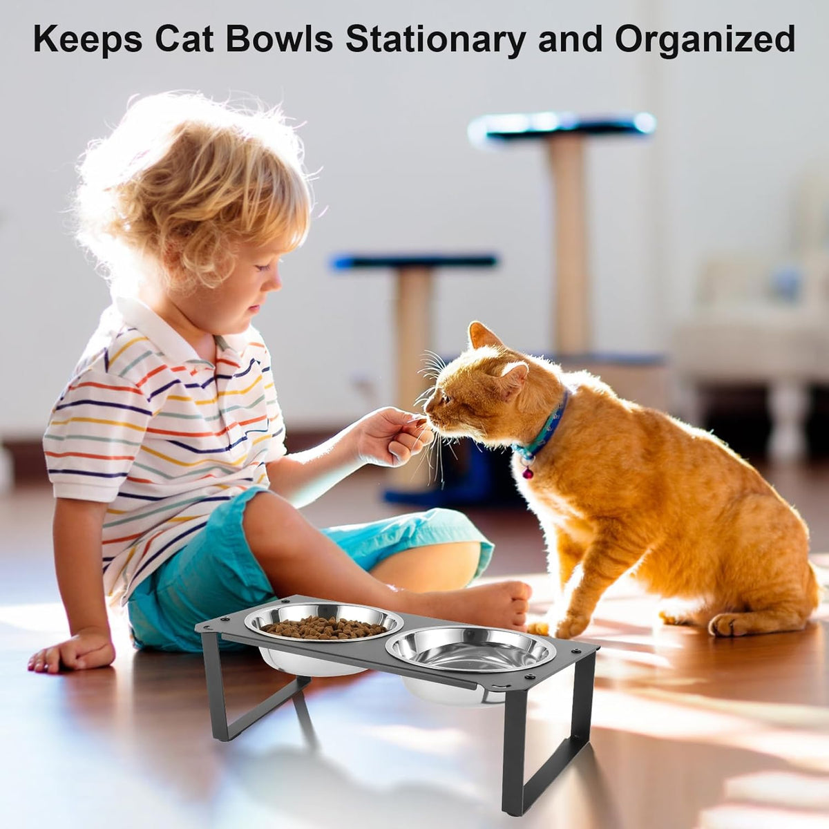 2 Set Elevated Cat Food Water Bowls, 4 Stainless Steel Bowls for Indoor Pet with Cute Metal Stand, 10° Tilted